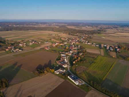 Brezovci
